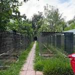 Bán trại gà Châu Hoà Vĩnh Long 1.6 tỷ 1600m2 - Ảnh thu nhỏ 3