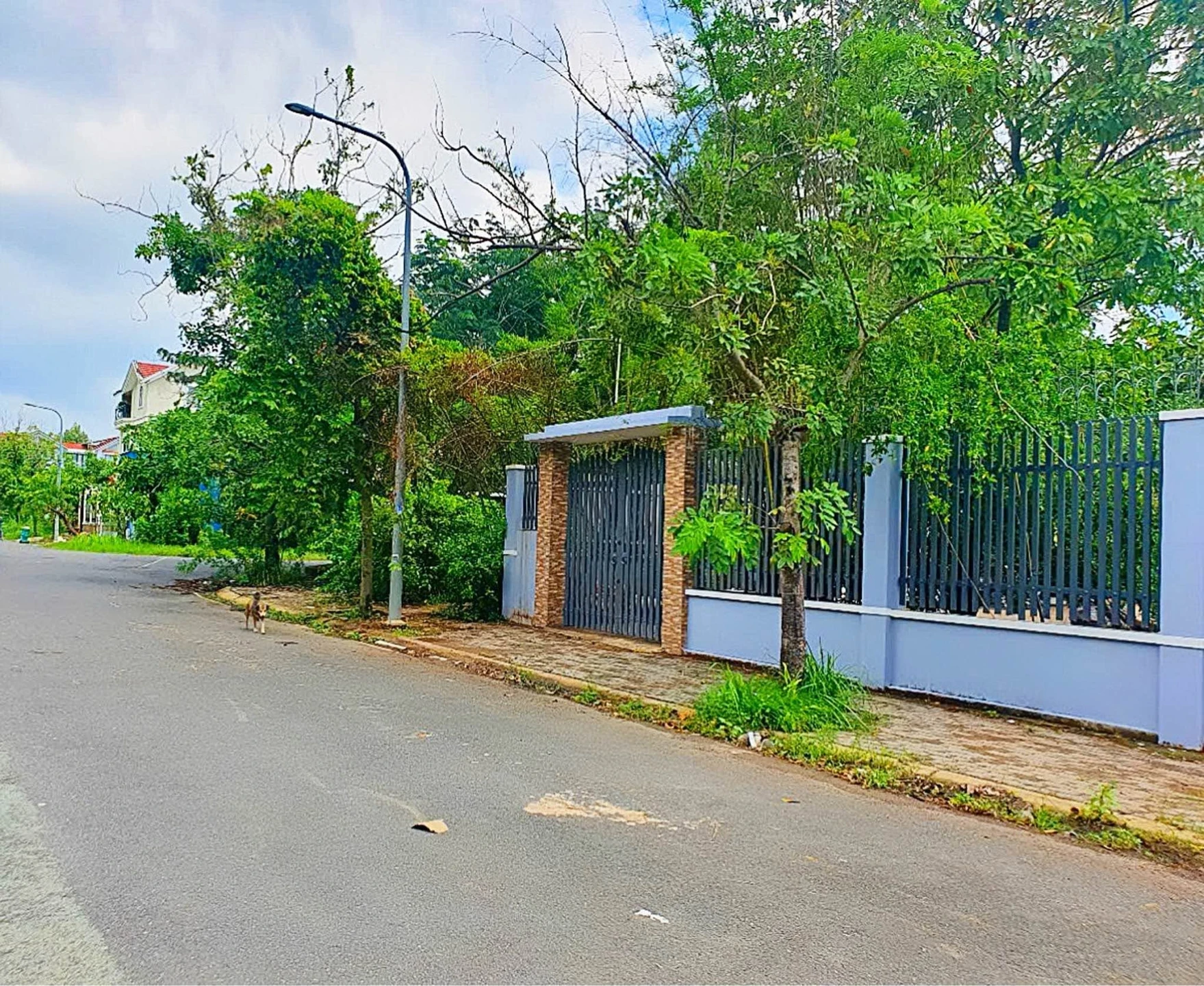 Bán đất vườn 2000m² giáp QL13, Bình Phước 305 triệu - Ảnh 1
