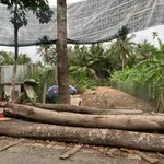 Bán nền thổ cư mặt tiền 220m2 Vĩnh Long 850 triệu - Ảnh thu nhỏ 2