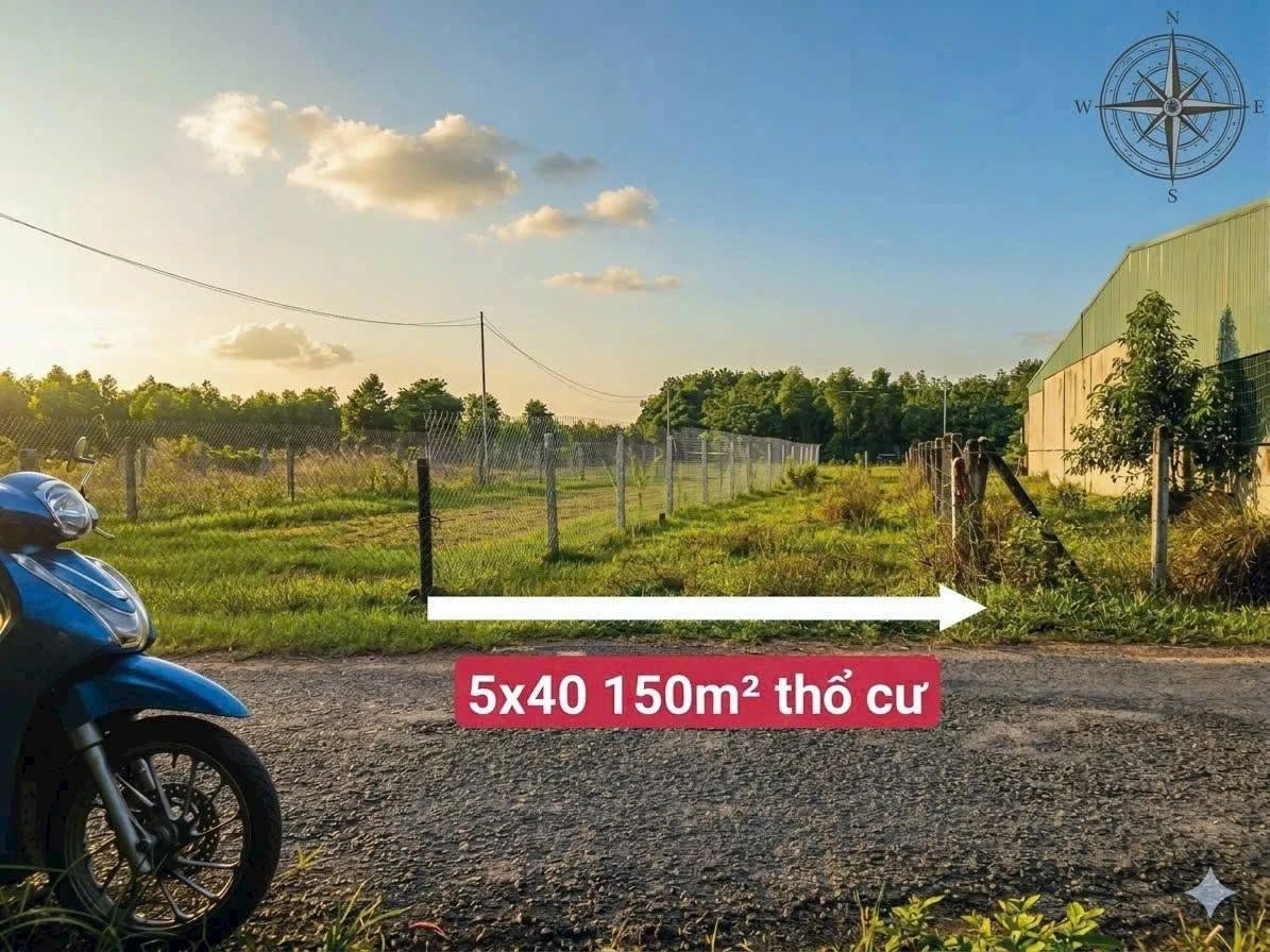 Bán đất thổ cư 150m2 mặt tiền nhựa tại Phước Thạnh, Gò Dầu, Tây Ninh giá 700 triệu - Ảnh 1