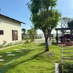 Nhà vườn 1.600m² giá 1 tỷ 790 tại Lâm Đồng - Ảnh thu nhỏ 2