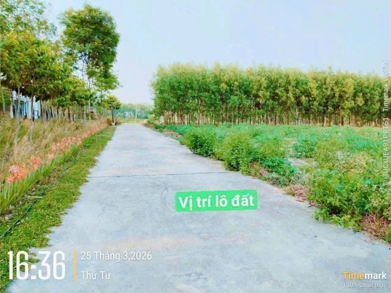 Bán đất mặt tiền 1100m² Minh Hưng Chơn Thành 630 triệu