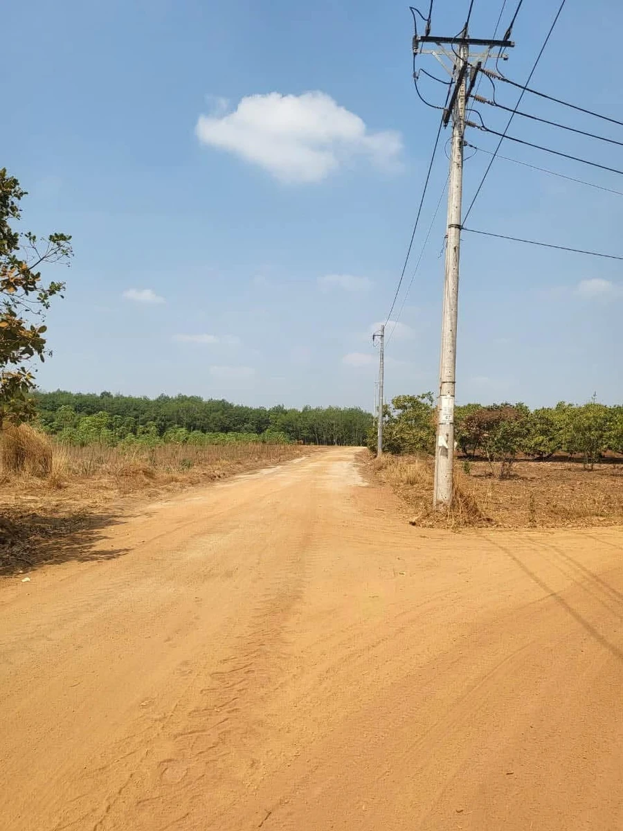 Bán đất Đồng Phú 1000m2, 700 triệu - Ảnh thu nhỏ 3