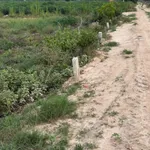 Bán đất 175m² Mỏ Công Tân Phú 119 triệu sổ sẵn - Ảnh thu nhỏ 5