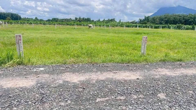 Bán đất nền 5x30-40m, 299-319 triệu tại Tây Ninh
