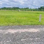 Bán đất nền 5x30-40m, 299-319 triệu tại Tây Ninh - Ảnh thu nhỏ 1
