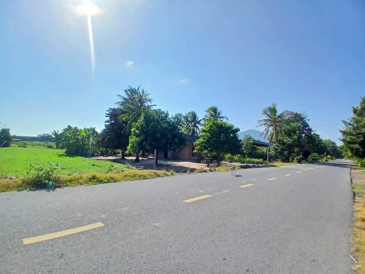 Bán đất Tây Ninh 1088m², giá 75 triệu - Ảnh 1