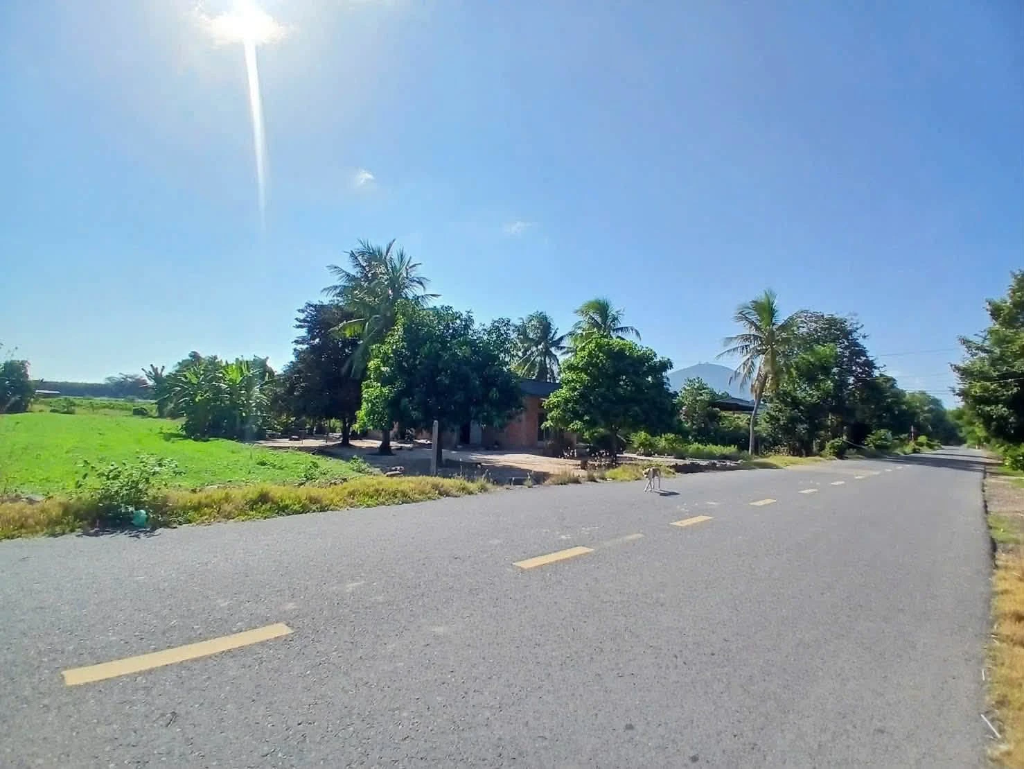 Bán đất Tây Ninh 1088m², giá 75 triệu - Ảnh 1
