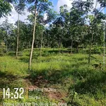 Bán đất 1ha6 với cao su tại Đồng Tâm, giá 1 tỷ 6 - Ảnh thu nhỏ 1