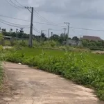 Bán đất vườn Bảo Vinh 1.317,7m² 980 triệu Đồng Nai - Ảnh thu nhỏ 2