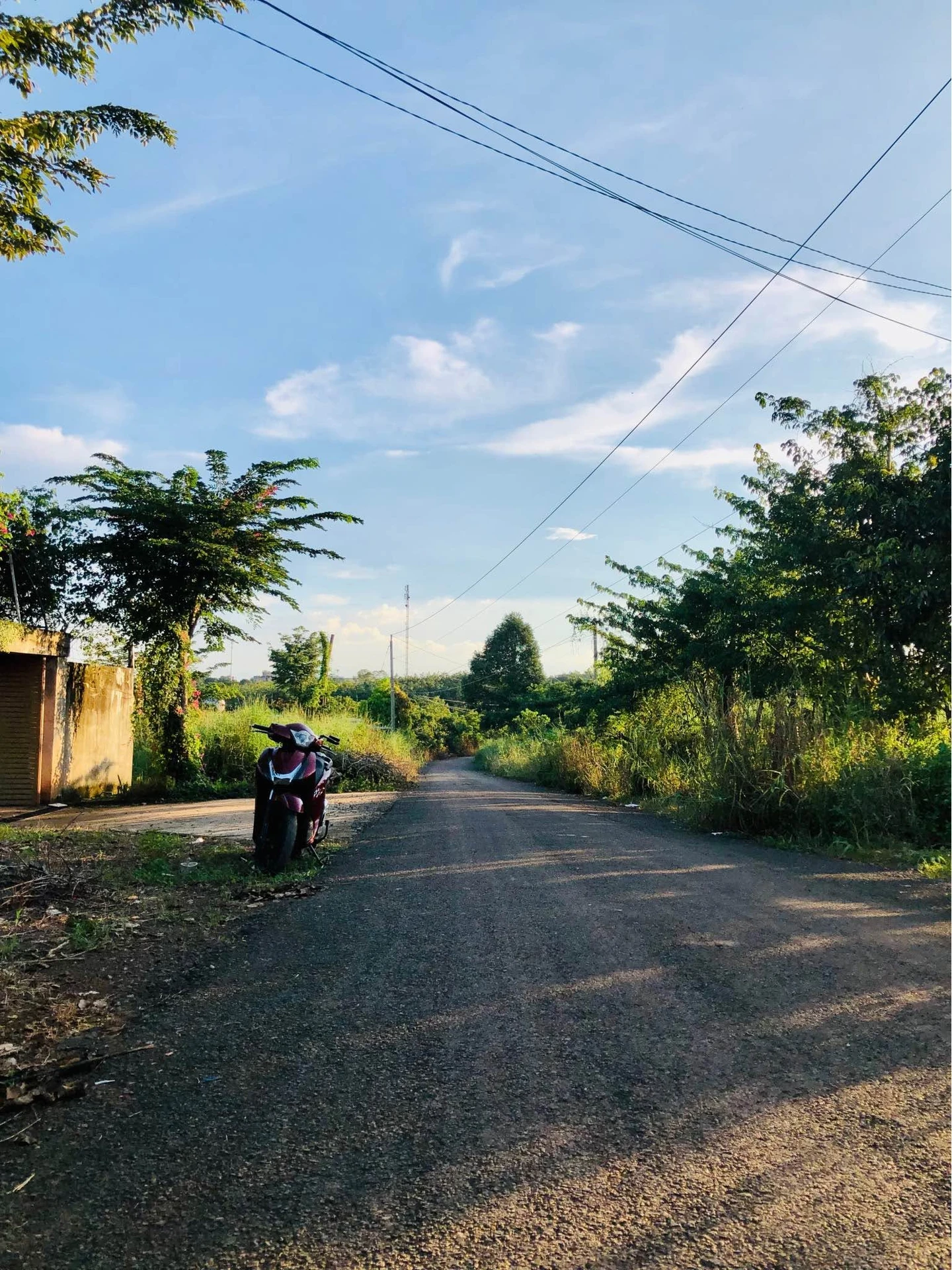 Bán đất 2.300m² trung tâm Đồng Xoài, Bình Phước, 2 tỷ - Ảnh 1