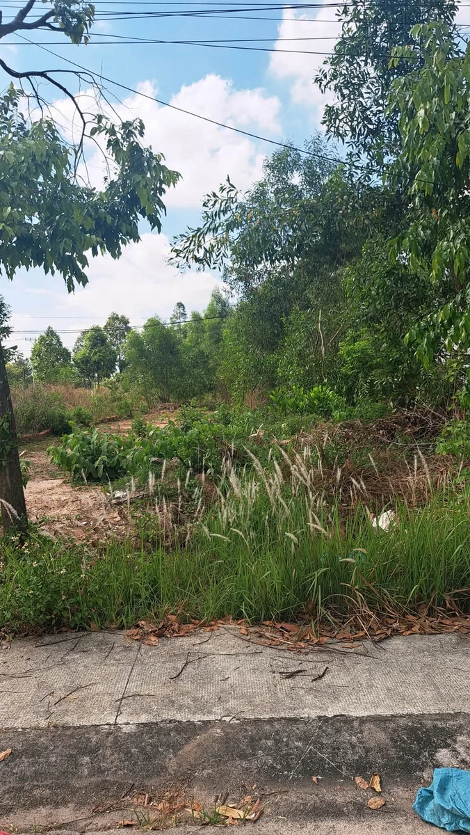 Bán đất Mỹ Phước 4, 150m², 2.4 tỷ, Bình Dương - Ảnh thu nhỏ 3