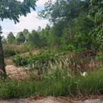 Bán đất Mỹ Phước 4, 150m², 2.4 tỷ, Bình Dương - Ảnh thu nhỏ 3