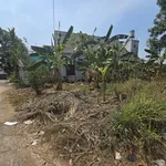 Bán lô đất 976m² sát Sơn Tiên, An Hoà, Cần Giờ - Ảnh thu nhỏ 5