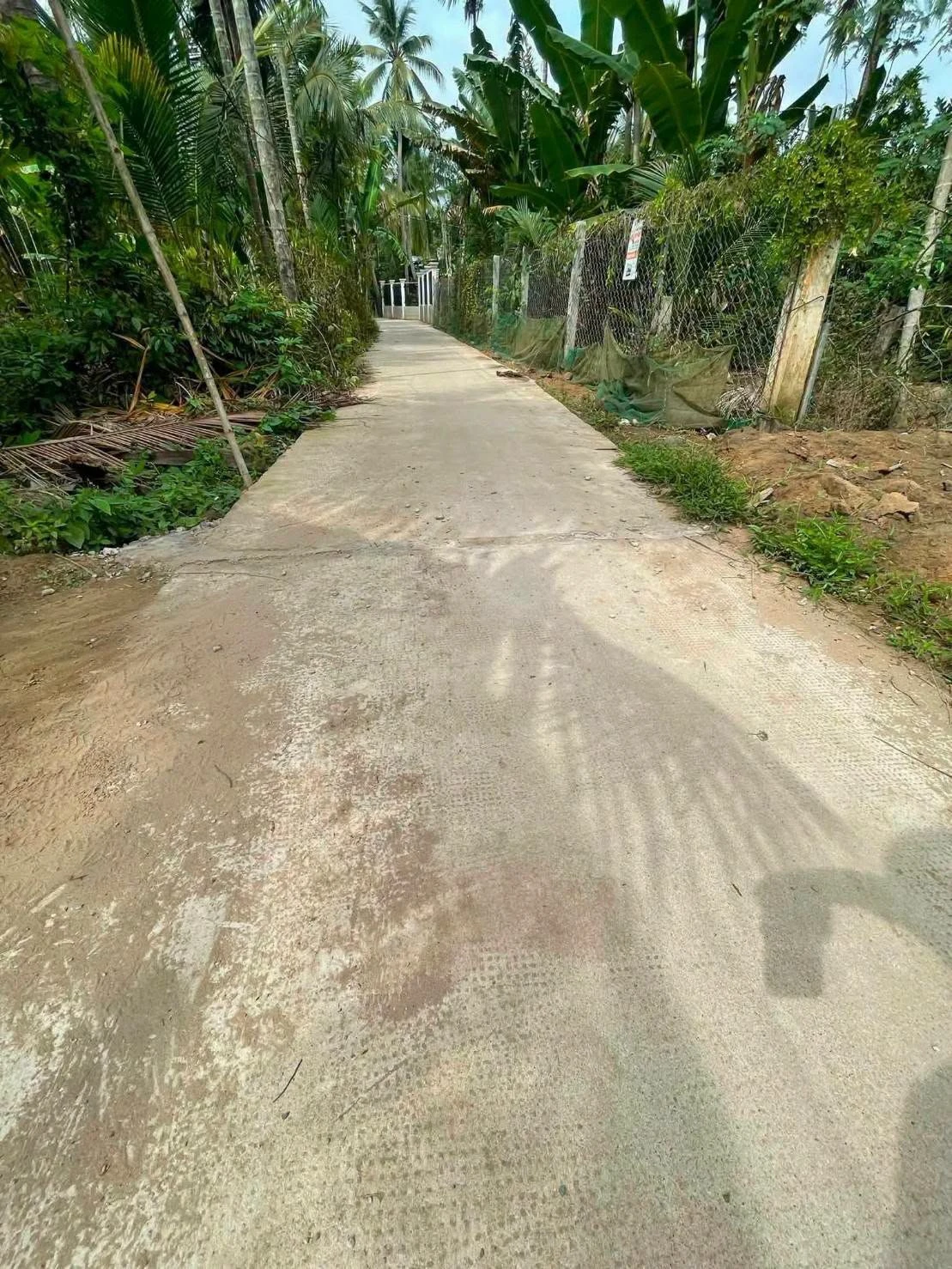 Bán nhà 500m² Bến Tre, Bình Tân 750 triệu - Ảnh 1