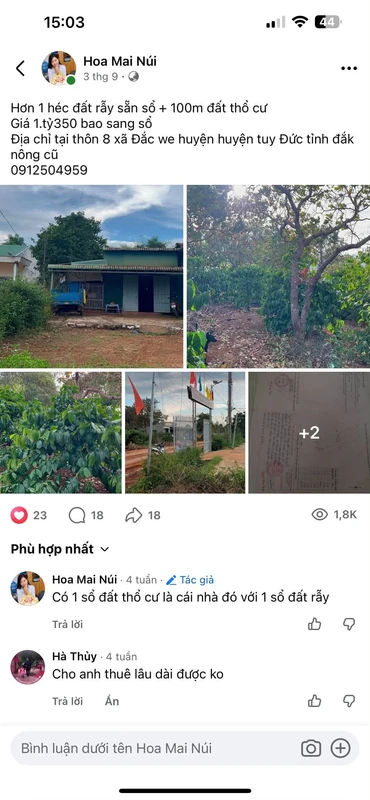 Bán đất rẫy 1 héc và đất thổ cư 100m² Đắk Nông giá hơn 1 tỷ