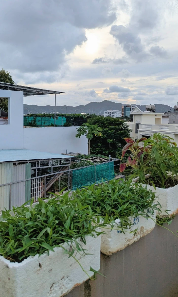 Bán nhà mặt tiền Nguyễn Thiện Thuật 99m2, 4 phòng ngủ - Ảnh thu nhỏ 5