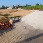 Bán lô góc đất nền 124m2 xã Long Điền, Bà Rịa - Vũng Tàu - Ảnh thu nhỏ 1
