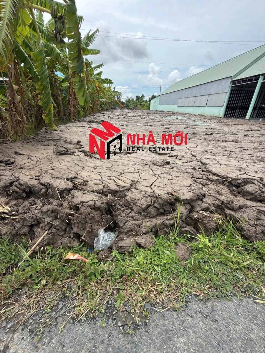 Bán đất mặt tiền QL1A Cà Mau 1452m2, 3 tỷ - Ảnh thu nhỏ 2