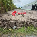 Bán đất mặt tiền QL1A Cà Mau 1452m2, 3 tỷ - Ảnh thu nhỏ 2