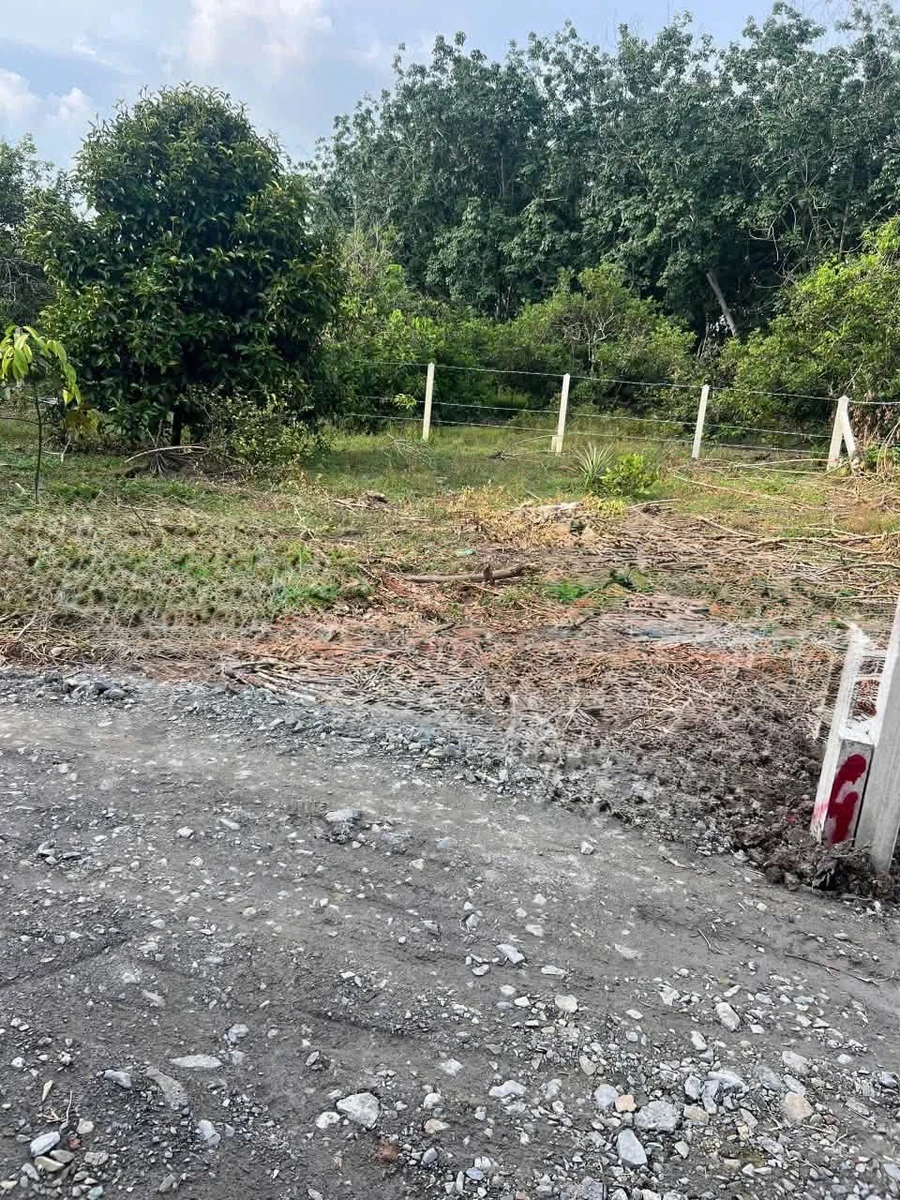 Bán đất 67.5 m² giá 240 triệu Long Hoa, Tây Ninh - Ảnh thu nhỏ 2