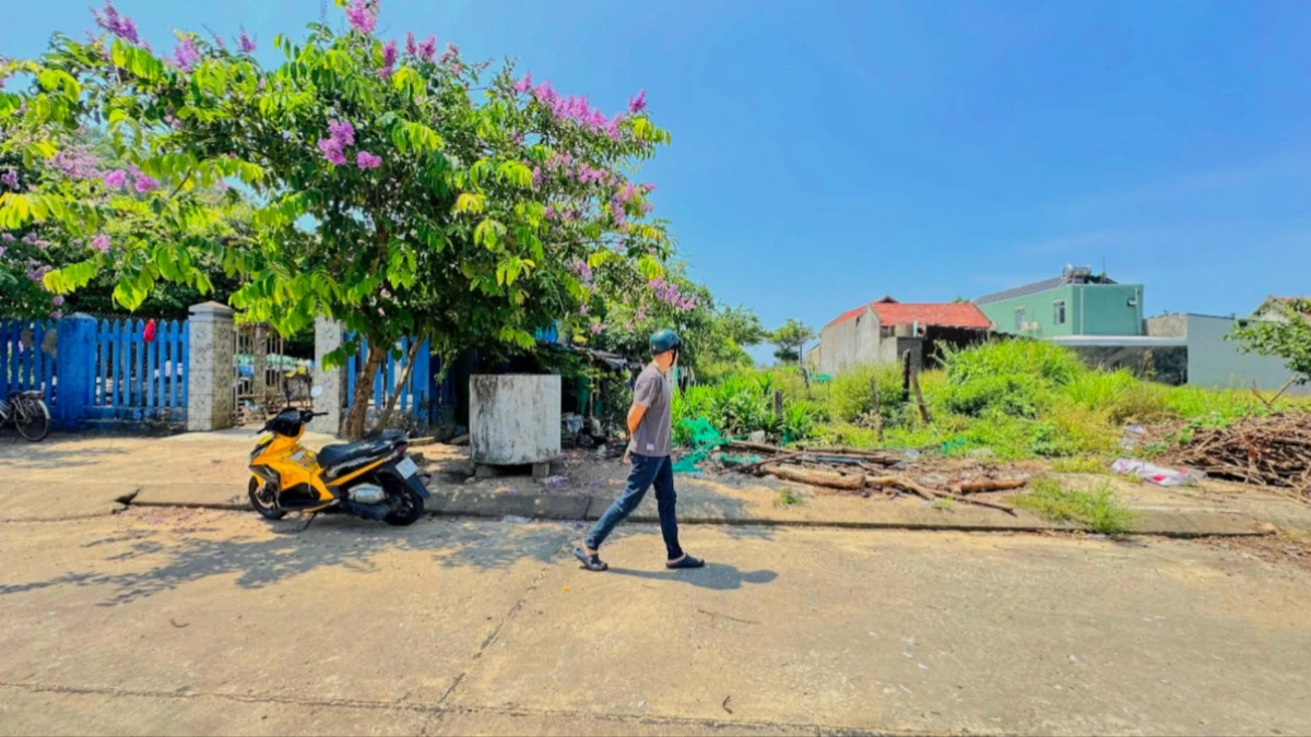 Bán đất tái định cư Đại Lãnh 212,5m² mặt tiền Đường D8 - Ảnh 1