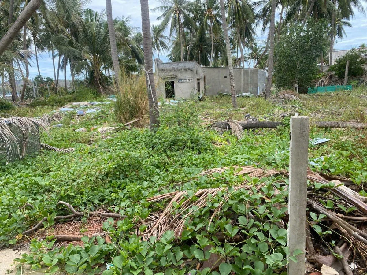 Bán đất 504m² full thổ cư Hòa Lợi Phú Yên 1 tỷ 700 - Ảnh 1