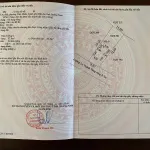 Hàng hiếm, view lúa mặt tiền Lê Thánh Tông, đất nở hậu, vị trí đẹp trong khu vực - Ảnh thu nhỏ 10