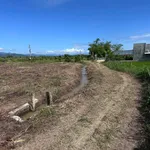Bán đất Cây trồng lâu năm 1,5 sào Hàm Liêm - Ảnh thu nhỏ 3