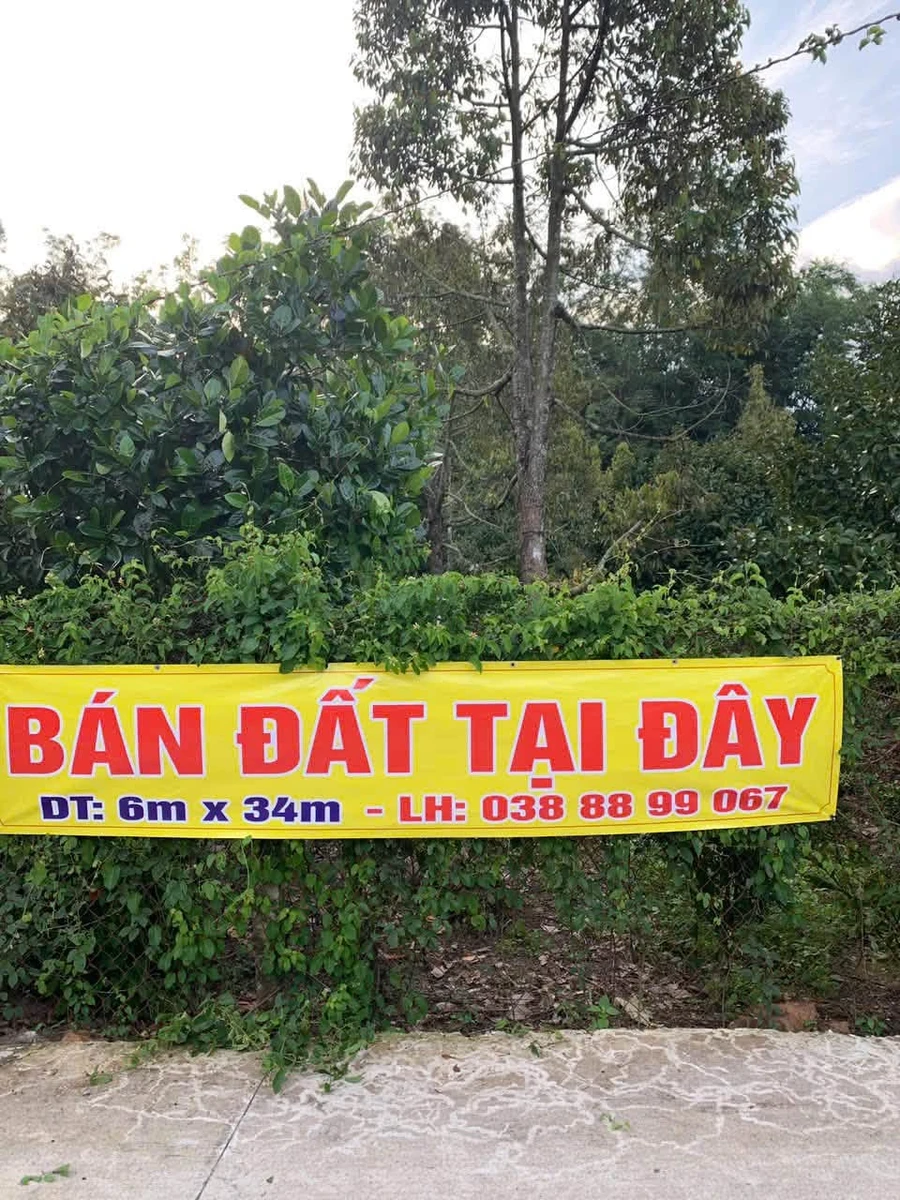 Bán đất 204m² tại Dương Minh Châu, Tây Ninh - 700 triệu - Ảnh thu nhỏ 2