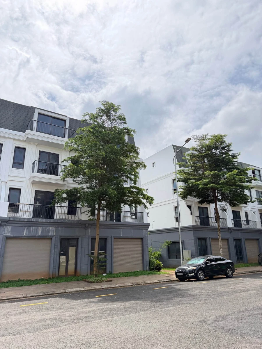 Bán nhà 4 tầng góc 341m2 Ecocity, Bình Chánh, 7.7 tỷ - Ảnh 1