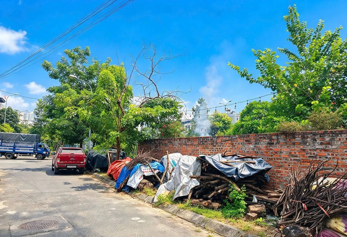 Bán đất 76m² Việt Trì, Khu đô thị Trằm Đá - Ảnh thu nhỏ 2