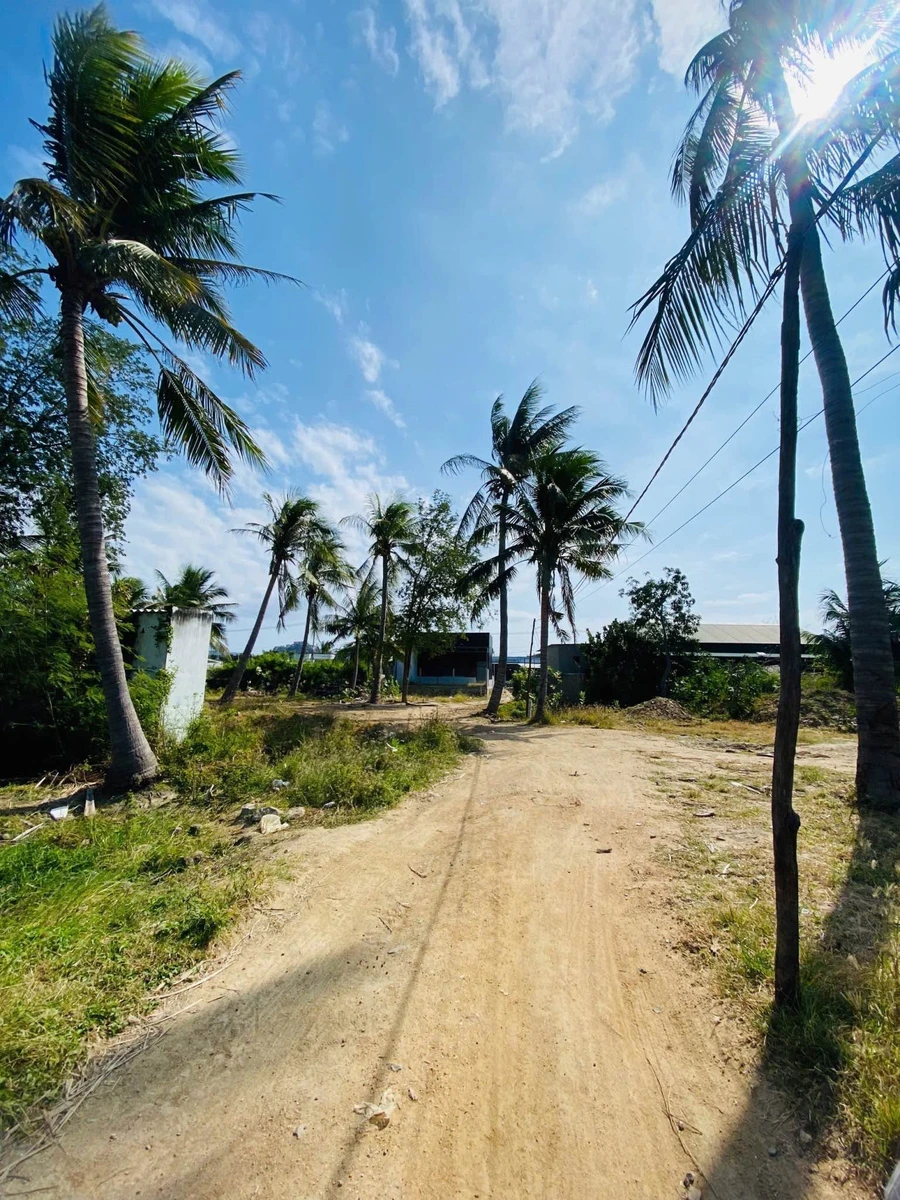Bán lô đất vườn 300m² Ninh Chữ, Khánh Hòa, 420 triệu - Ảnh thu nhỏ 4