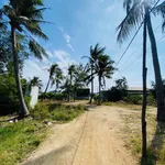 Bán lô đất vườn 300m² Ninh Chữ, Khánh Hòa, 420 triệu - Ảnh thu nhỏ 4