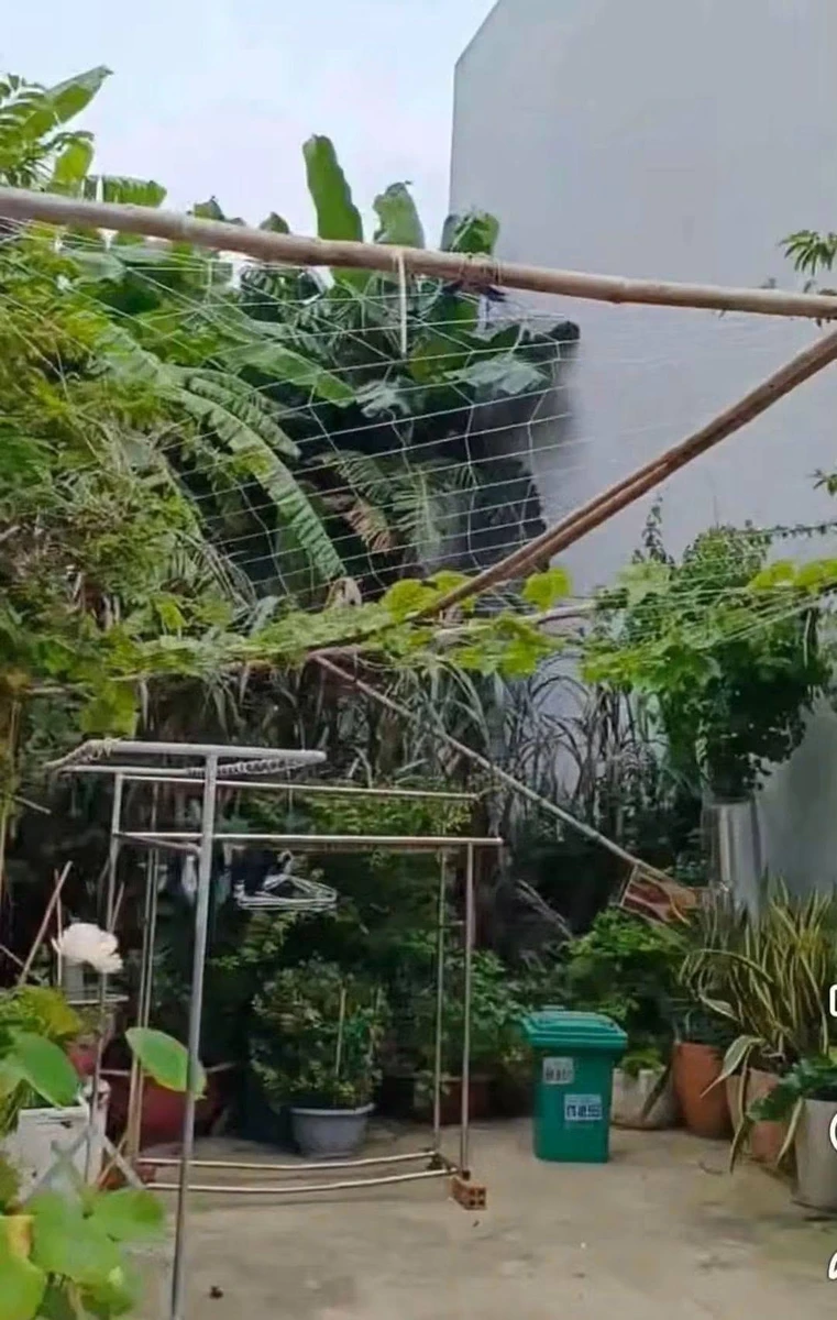 Bán đất thổ cư 75m² hẻm Lưu Chí Hiếu Rạch Dừa 4.5 tỷ - Ảnh thu nhỏ 2