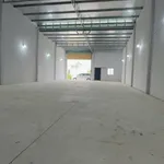 Cho thuê kho mới 250m2 (10x25) KDC Tân Đức, đường A15B, giá 15 triệu/tháng - Ảnh thu nhỏ 3