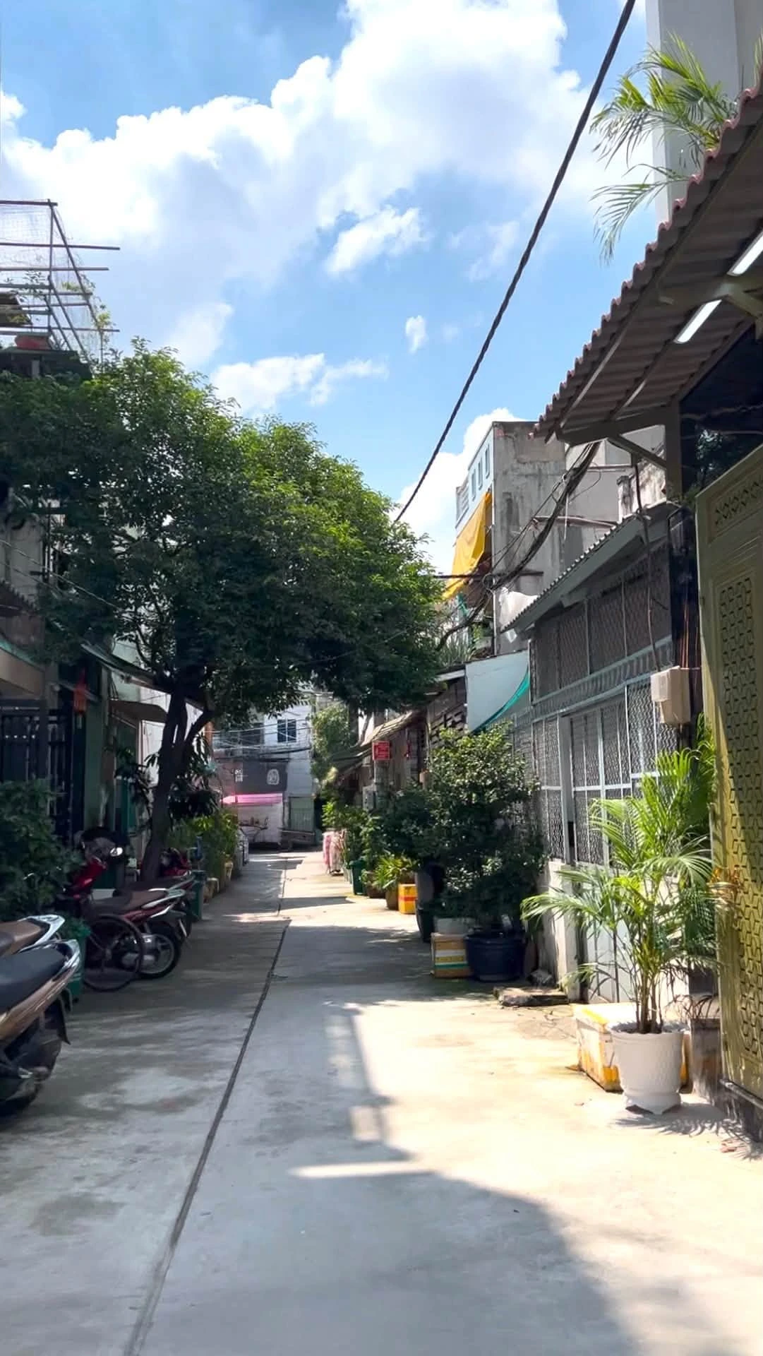 Bán nhà 4PN Phan Anh Bình Tân 51m² 3 tầng 6 tỷ - Ảnh 1