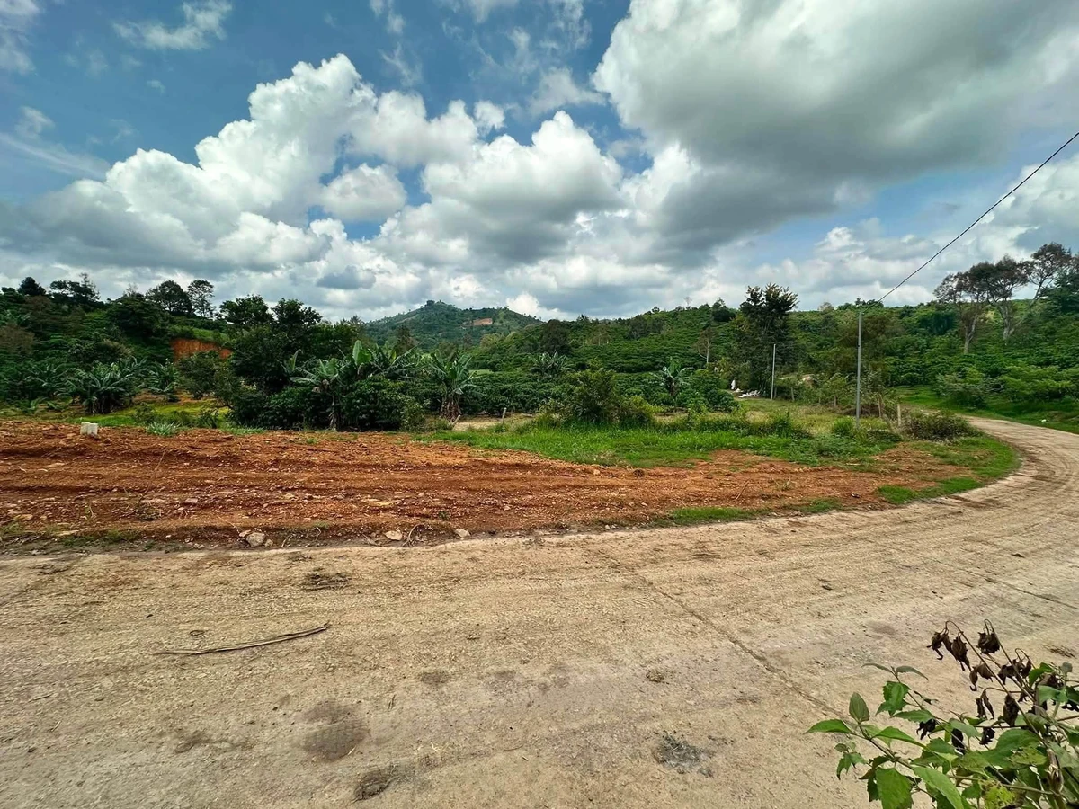 Bán đất full thổ cư Hoà Ninh 7x35, Nhà Bè - Ảnh thu nhỏ 2
