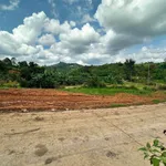 Bán đất full thổ cư Hoà Ninh 7x35, Nhà Bè - Ảnh thu nhỏ 2