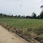 Bán đất cây lâu năm tại Cồn Bà Hoà Xã Bình Thạnh Huyện Châu Thành AG - Ảnh thu nhỏ 4