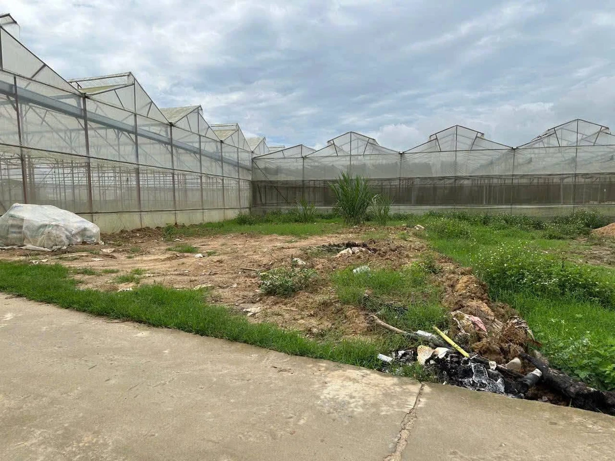 Bán lô đất 235m² Thạnh Mỹ, Đơn Dương 1,4 tỷ - Ảnh thu nhỏ 3