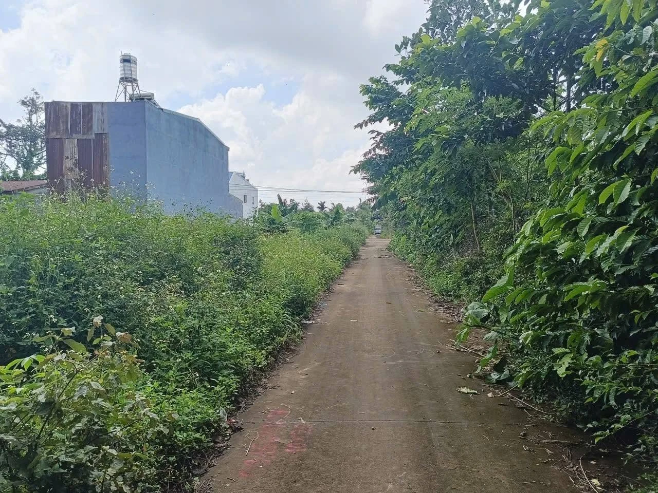 Bán đất Nhà Bè km10 Ea Tu 200m2 giá 1,15 tỷ - Ảnh 1