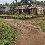 Bán đất Phú Xuân, Huyện Krông Năng, Đắk Lắk Diện tích: 175m², có 60m² đất ở Đường đất, vị trí - Ảnh thu nhỏ 13