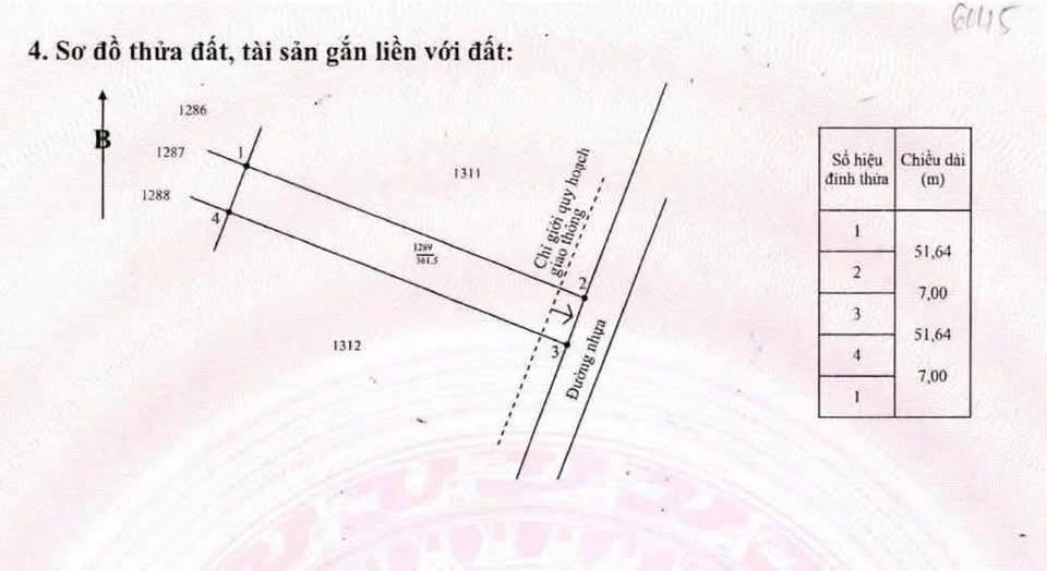 Bán đất mặt tiền đường nhựa 7x52m, 60m2 thổ cư, phường Tam Long, TP.HCM - Ảnh thu nhỏ 2