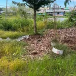 Bán nền đất 81m2 mặt sông Lê Thị Hồng Gấm, Hóc Môn - Ảnh thu nhỏ 1