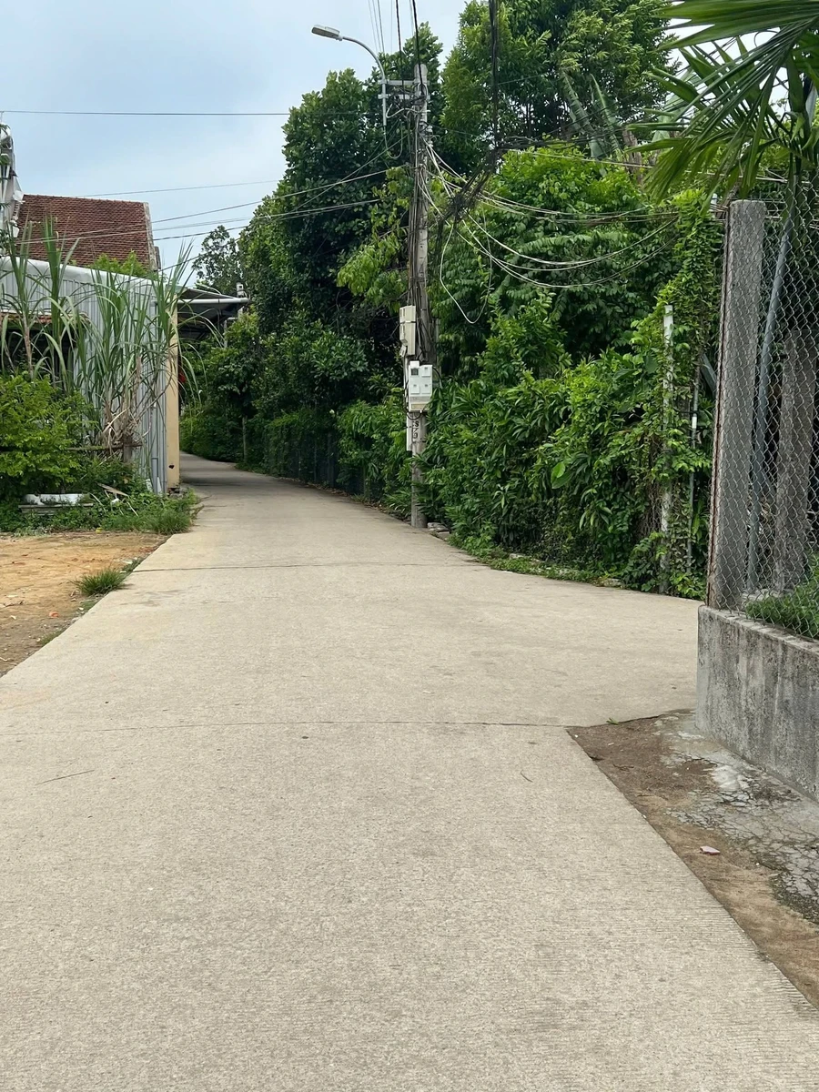 Bán đất hẻm 100m2 Lê Quý Đôn Quận 1 - Ảnh 1