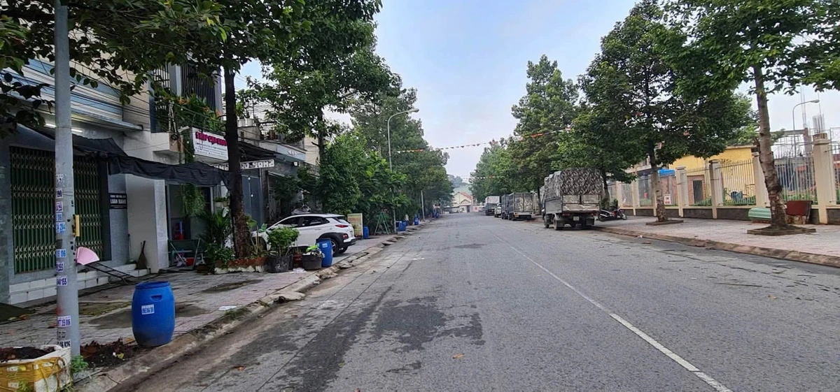 Bán nhà mặt tiền kinh doanh 114m2 Dĩ An - Ảnh thu nhỏ 2