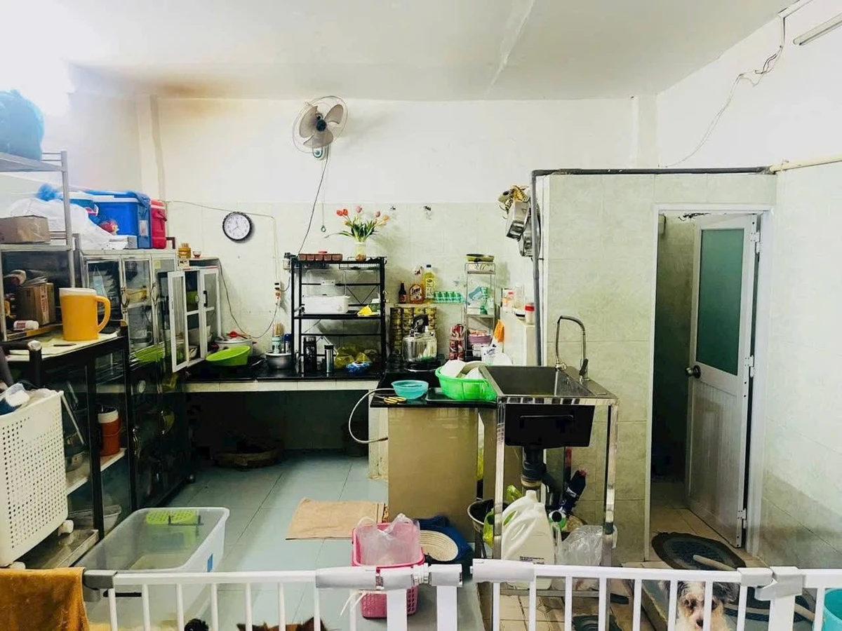 Bán nhà hẻm xe hơi 55m2, 5 tầng 5PN ở Q10 - Ảnh thu nhỏ 3