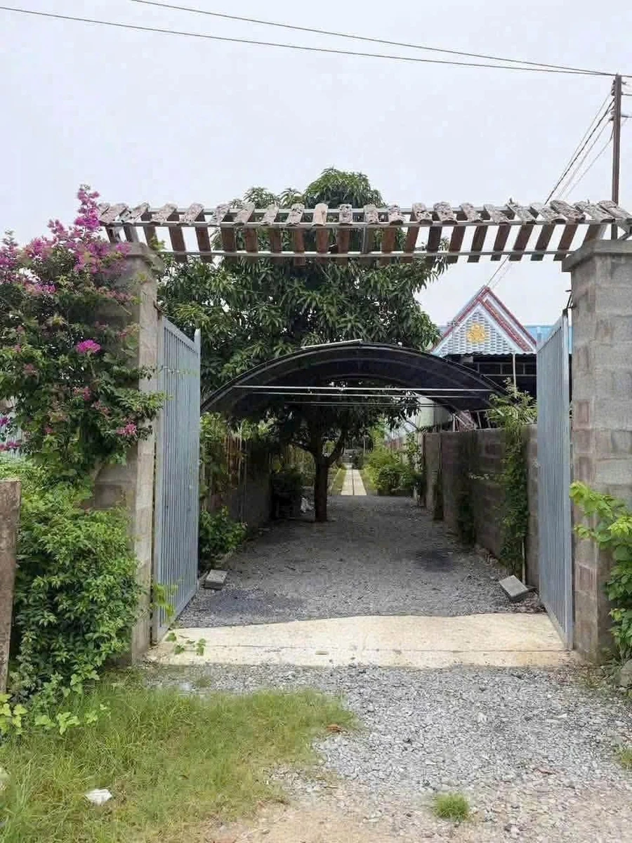 Bán nhà vườn 3PN Long An 500m² giá 1 tỷ 550 triệu - Ảnh thu nhỏ 4
