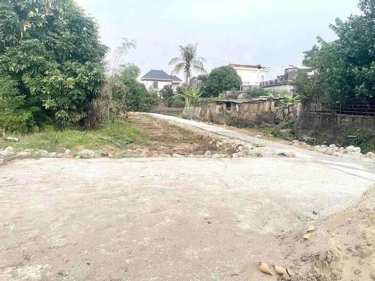 Bán 2 lô đất liền kề 81m² mặt 4,5m Miễu Lãng Nam Sách, 700 triệu - Ảnh thu nhỏ 2